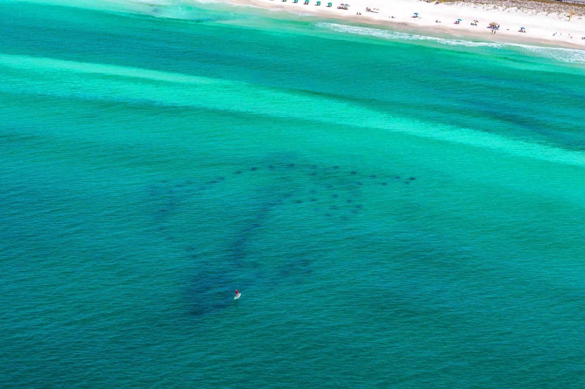 Ariel Dunes I 2207 Destin Esterno foto
